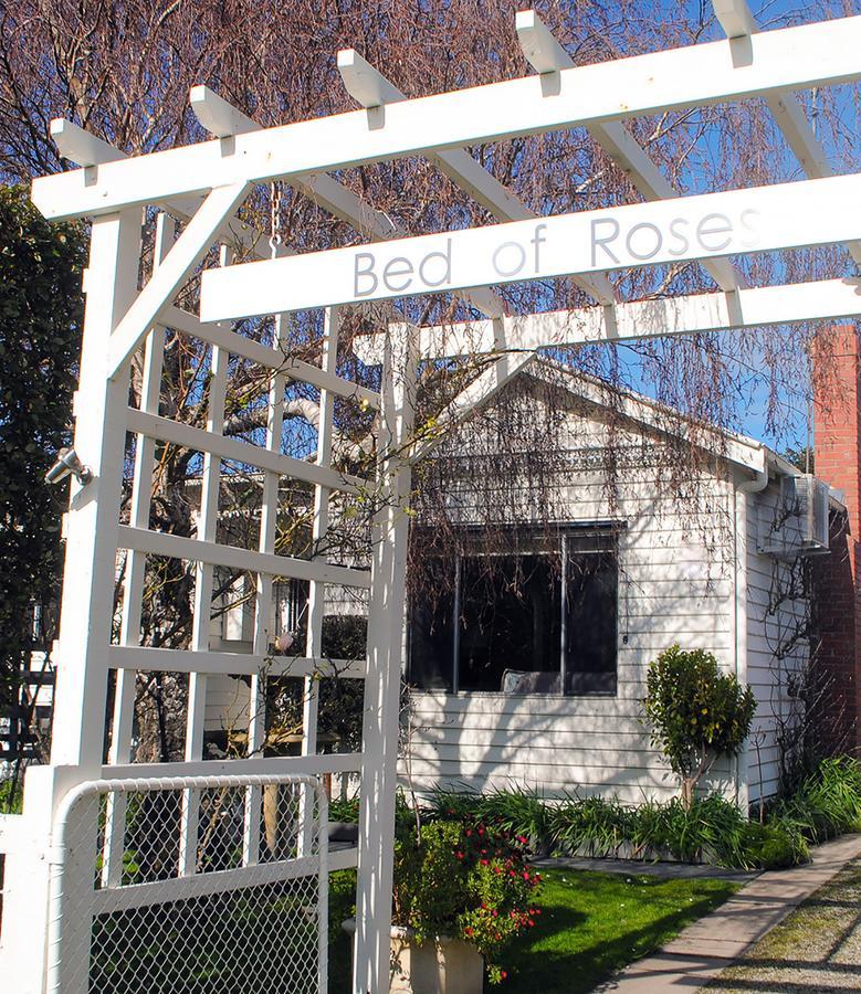 Bed Of Roses Villa Apollo Bay Exterior photo