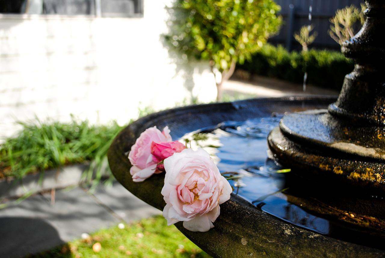 Bed Of Roses Villa Apollo Bay Exterior photo